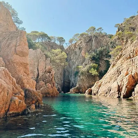 아파트 Mas Figueres