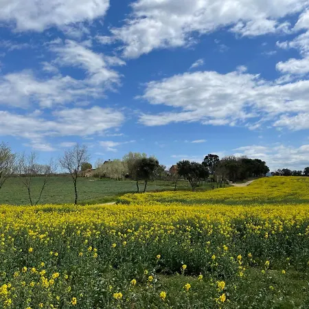 Más Figueres Caldes de Malavella